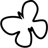 cierny-motyl